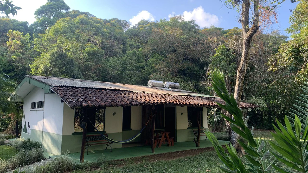 Talari Hotel: Nature and Bird Lover's Paradise - Mountain Lodge - Gallery image 10
