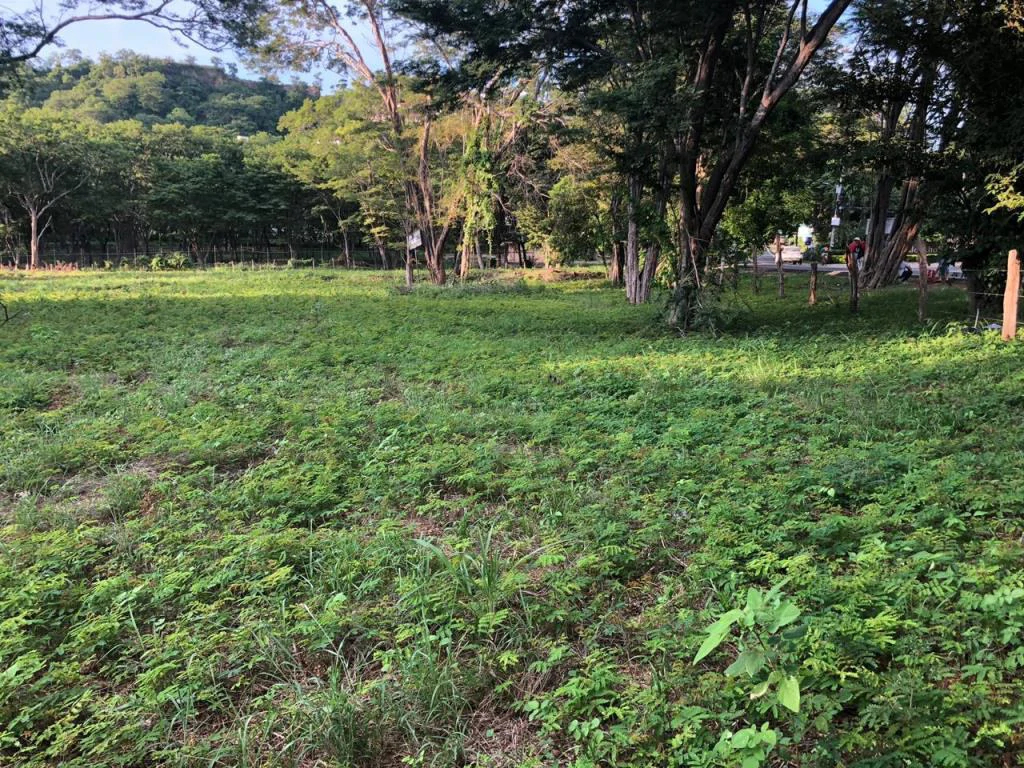Large Commercial Property in Playa Hermosa, Guanacaste, Costa Rica - Gallery image 9