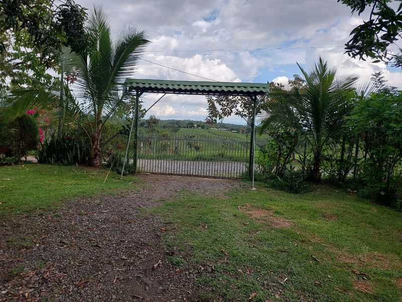 Livestock Farm | Titled property located in Santa Eduviges - Gallery image 30