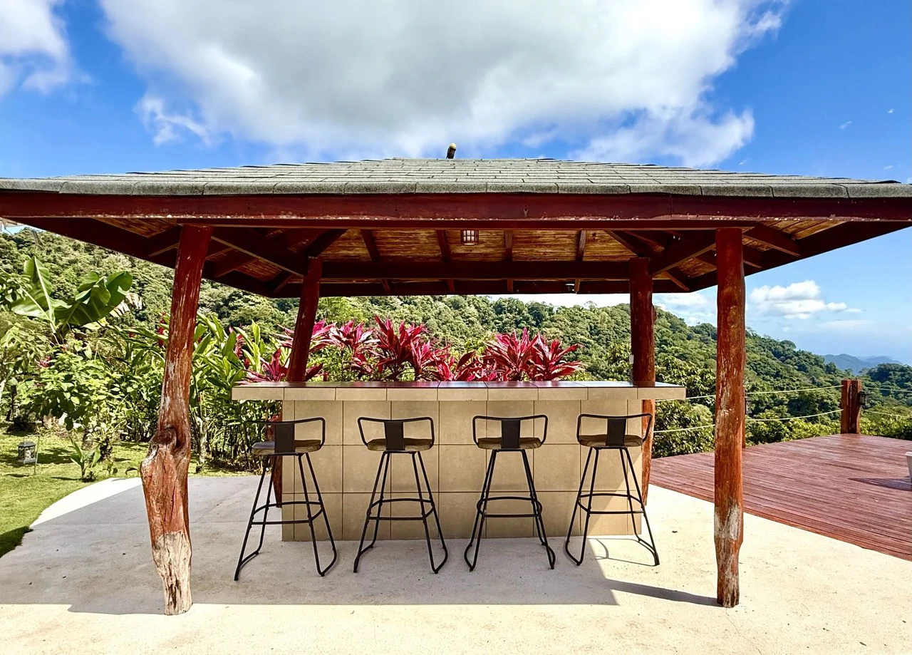 CASA DE LAPAS - OCEAN VIEW: Could you live at the Top of a Mountain in Costa Rica?  Because.... now you can!  Billion dollar views for only $1 Million USD. - Gallery image 7