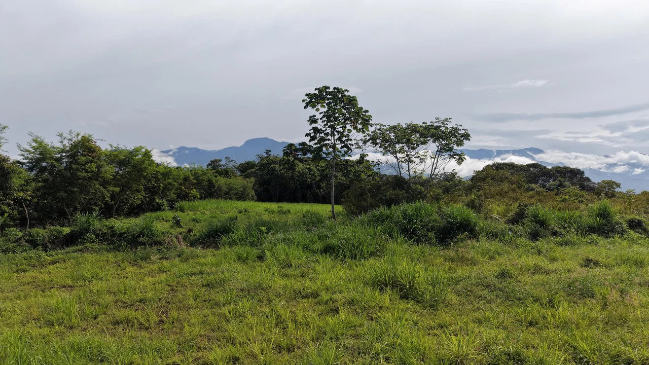 Home Construction Site For Sale in El Pilar - photo 8