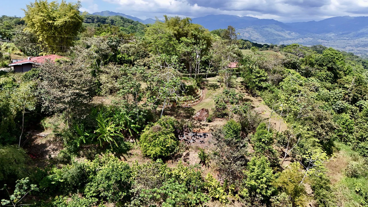 New 1,4 Acre lot in Platanillo – With Legal Water - Gallery image 8