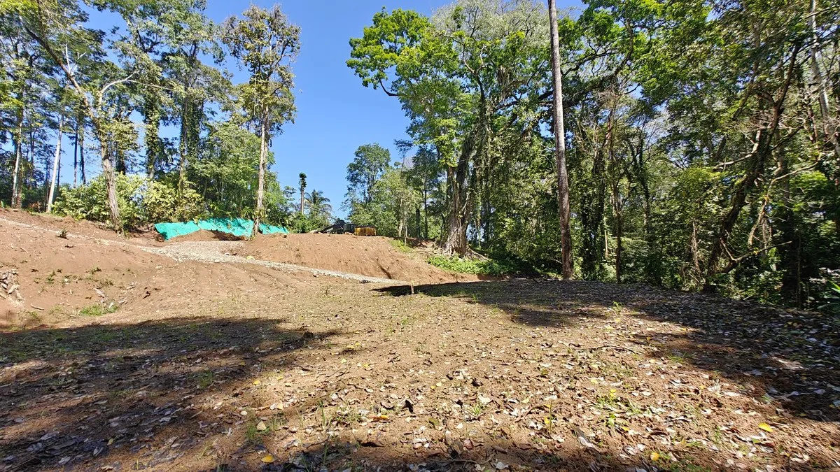 ID  1011: 7535m² Cahuita Land Near the Beach with Building Platform - Gallery image 5