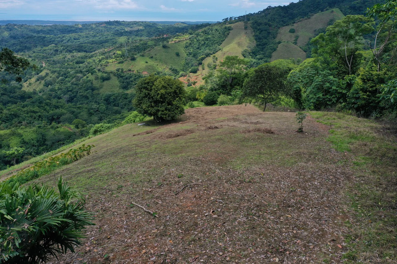 137 Acre Ocean View Farm with Riverfront in Southern Costa Rica - Gallery image 4