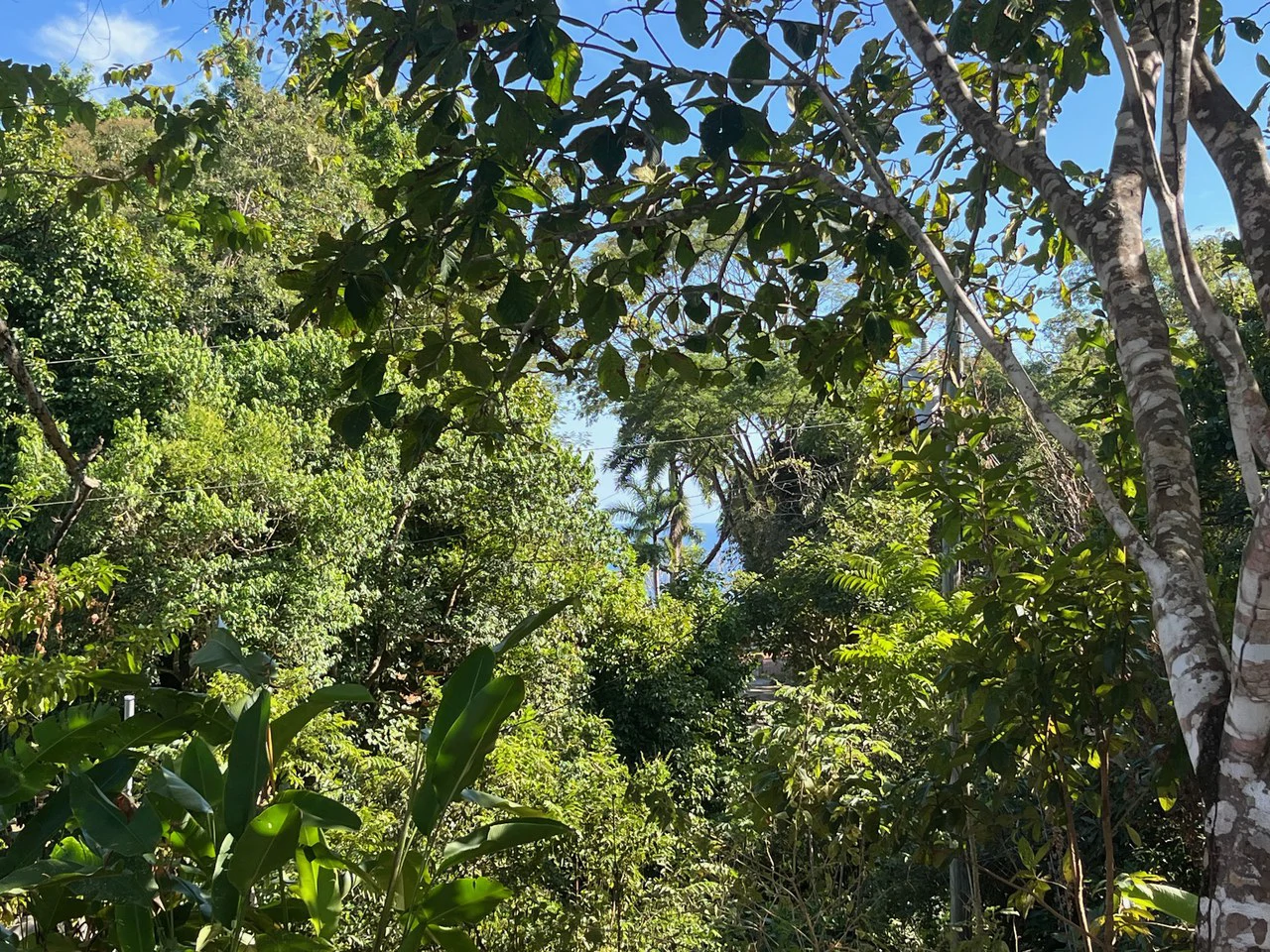 4000m2 Ready to Build Lot in Delicias: Partial Ocean Views in Great Neighorhood - Gallery image 6