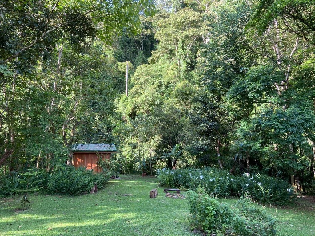 RIO SABALO: Yoga- Wellness-  and Eco Retreat Center - Gallery image 16