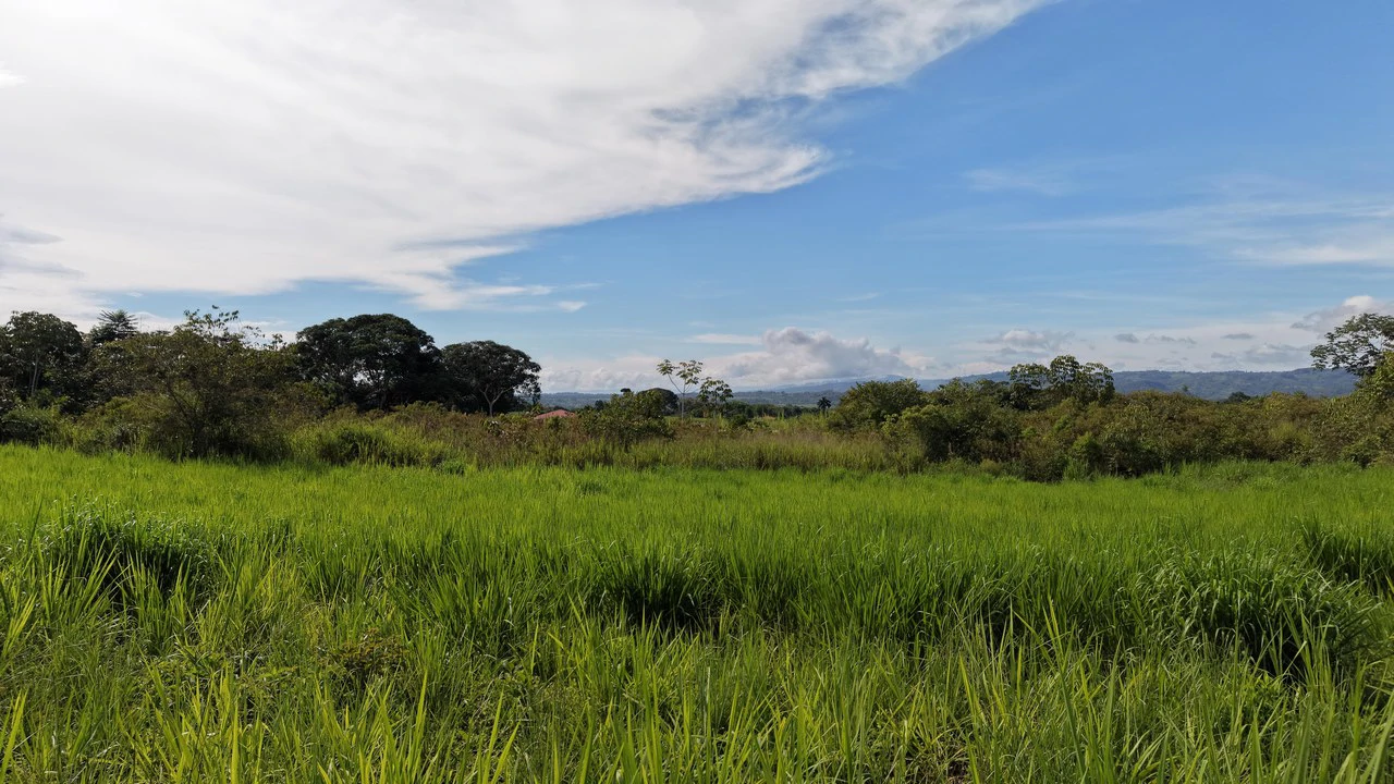 Home Construction Site For Sale in El Pilar - photo 4