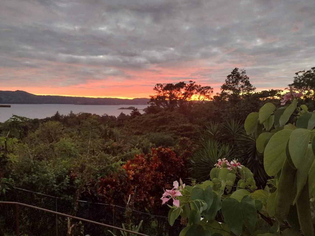 CASA  TROPICANA - Lake View Oasis Near Nuevo Arenal - Gallery image 64