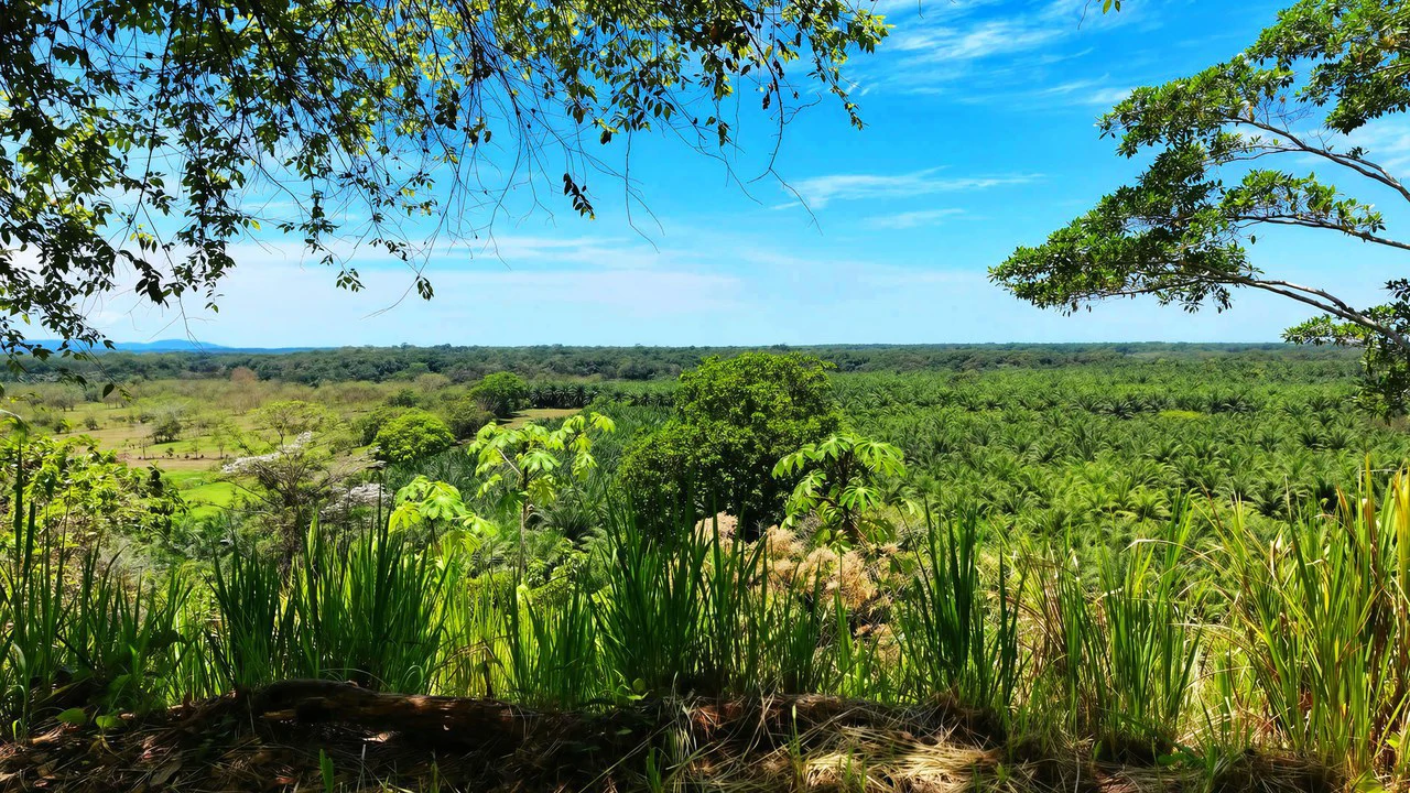 Near the Coast Home Construction Site For Sale in Ciudad Cortés - Gallery image 18