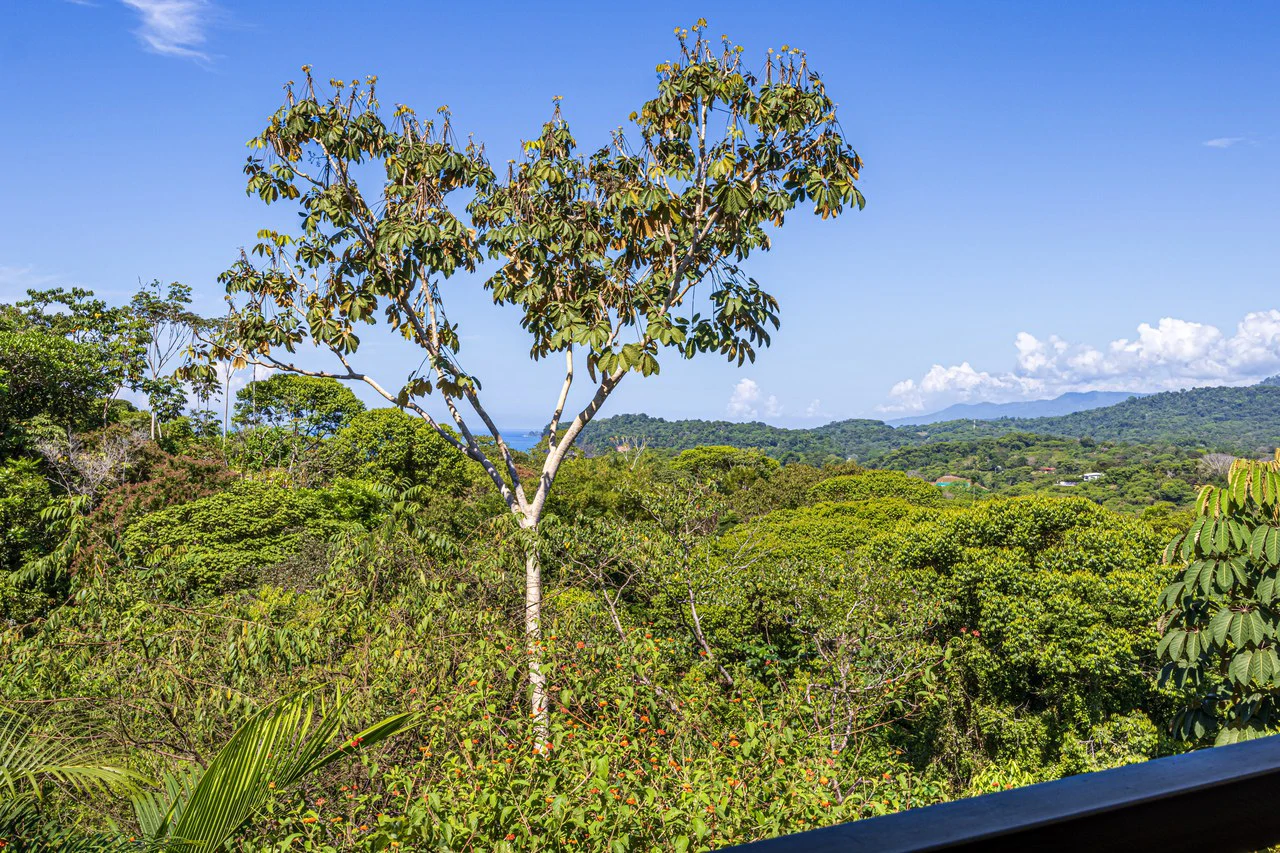 Mountain House For Sale in Ojochal - Gallery image 55