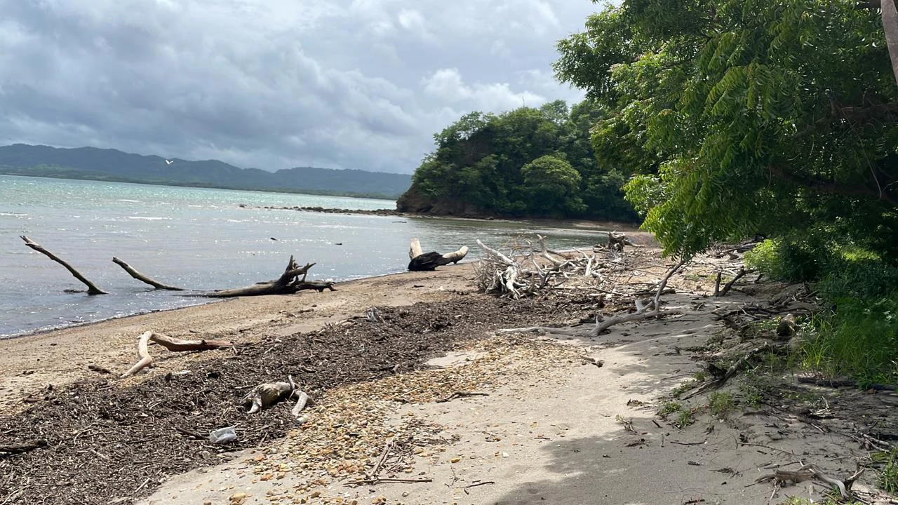 Beachfront Private Titled Property for sale close to La Cruz, beautiful nature land, ready to build - Gallery image 2