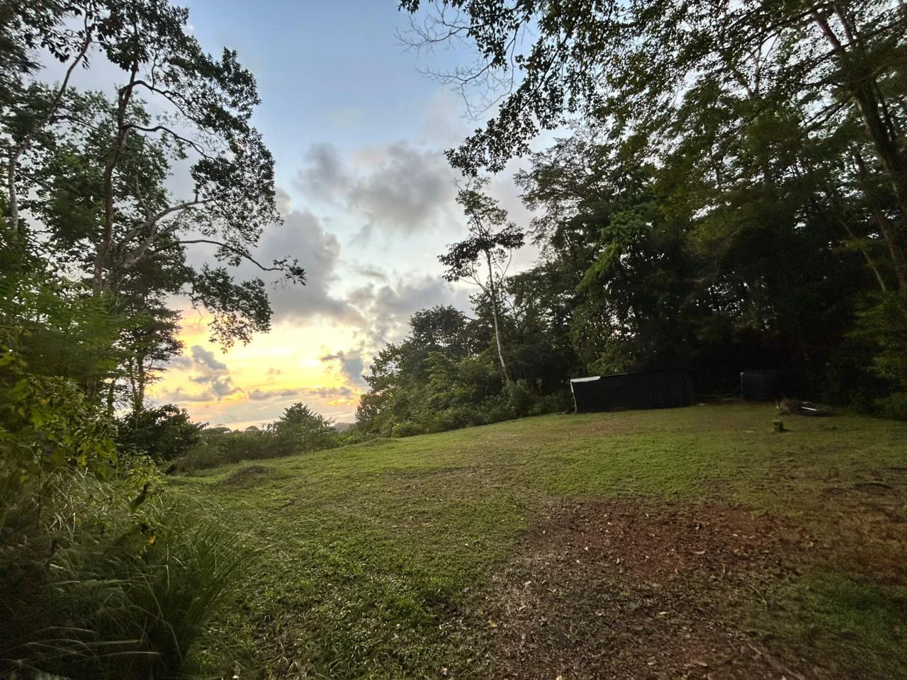 1.7 Acres Ocean View Lot with Producing Cabin in Uvita - Gallery image 23