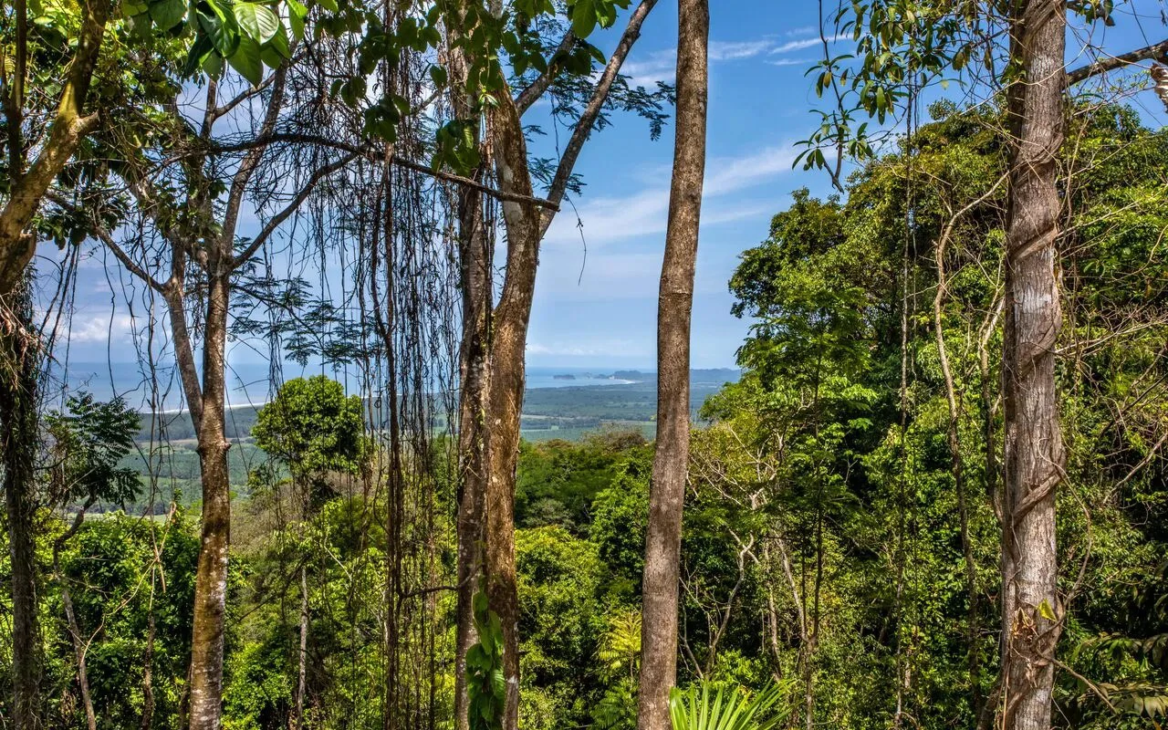 209 ACRES – 3 Bedroom 180 Degree Ocean View Home, Pool, And At Least 4 More Ocean View Building Sites!!!! - Gallery image 9