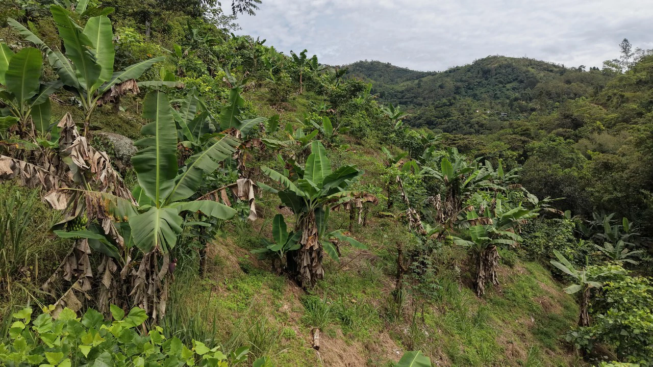Mountain Home Construction Site For Sale in Chimirol de Rivas - photo 7