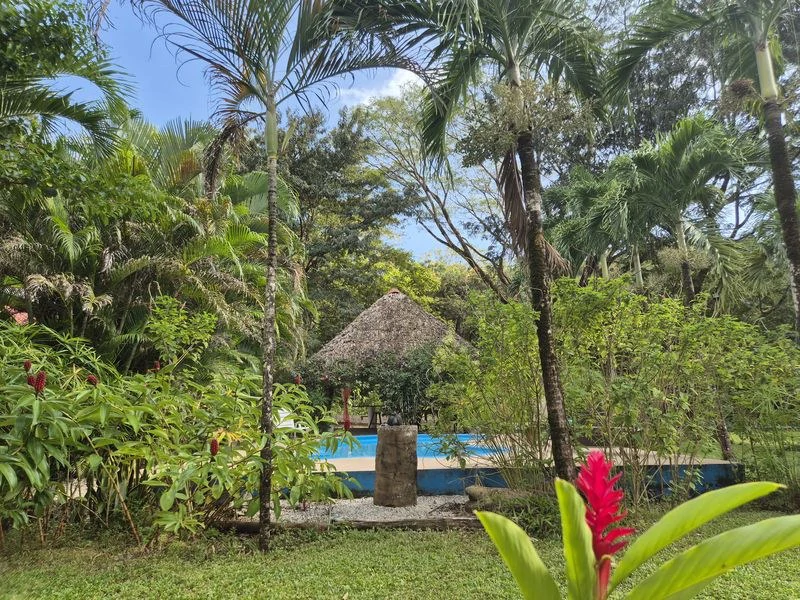 Casas Jungle: Charming Rental Compound with 5 units & pool in the heart of nature, minutes from Samara’s beaches - Gallery image 6