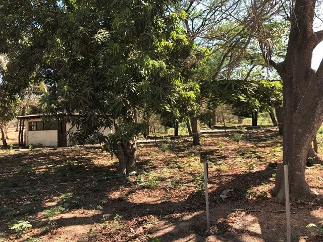 Big Property close to Playa Conchal - Gallery image 3