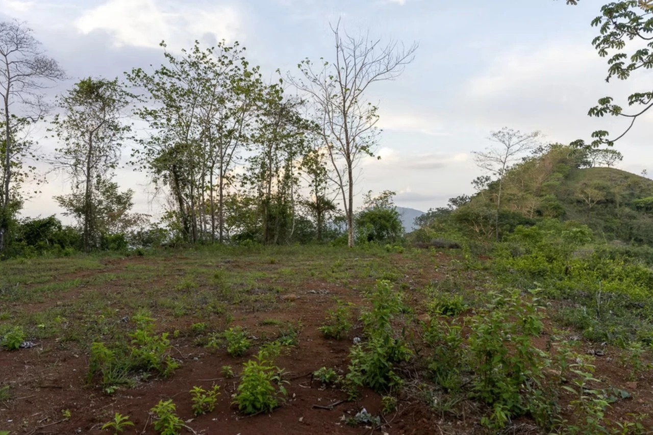 Land for sale Bejuco Nandayure Guanacaste Costa Rica - Gallery image 2