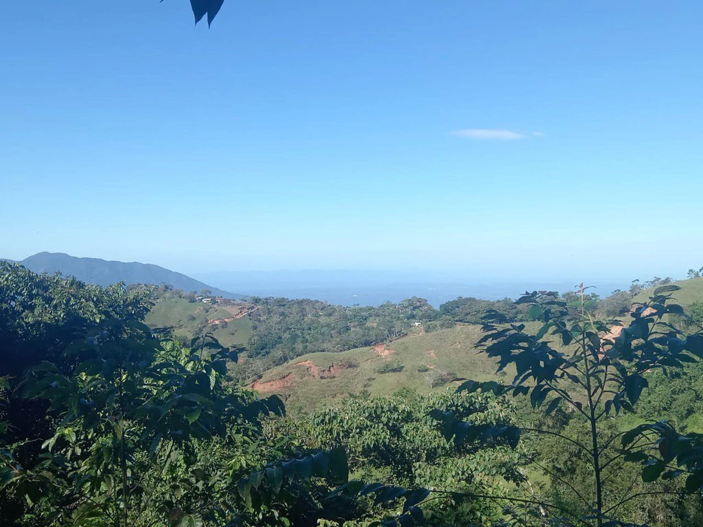 CAPTIVATING OCEAN AND PANORAMIC MOUNTAIN VIEW FINCA IN PURISCAL - Gallery image 3