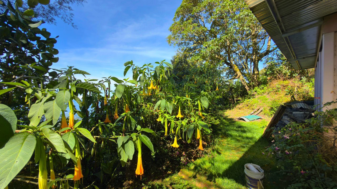 Mountain House For Sale in Division de Páramo - Gallery image 10