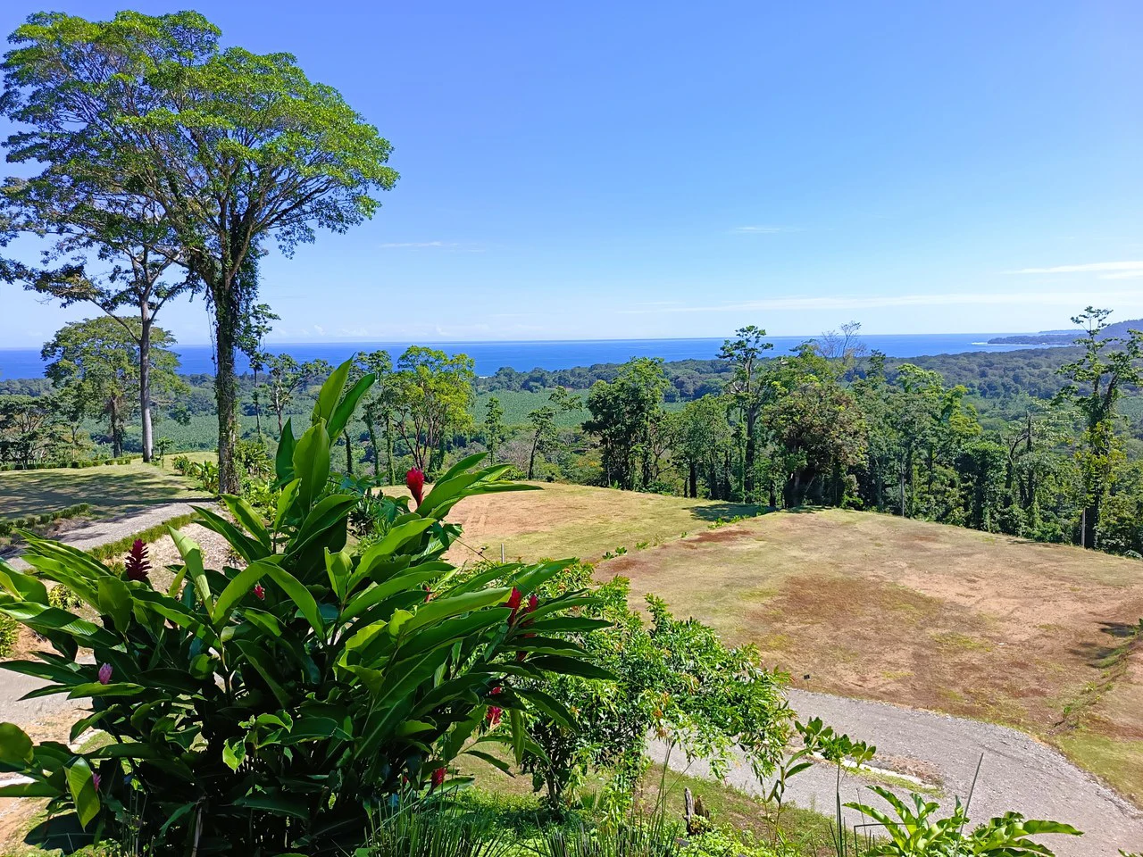 ID 4193: Ocean View Residential Lot for Sale near Puerto Viejo, Caribbean Costa Rica - Gallery image 6