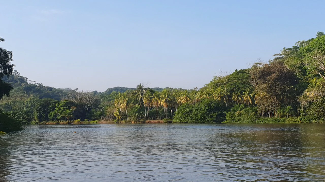 CONSERVATION AND DEVELOPMENT LAND WITH OCEAN VIEW IN SIERPE, COSTA RICA - Gallery image 5