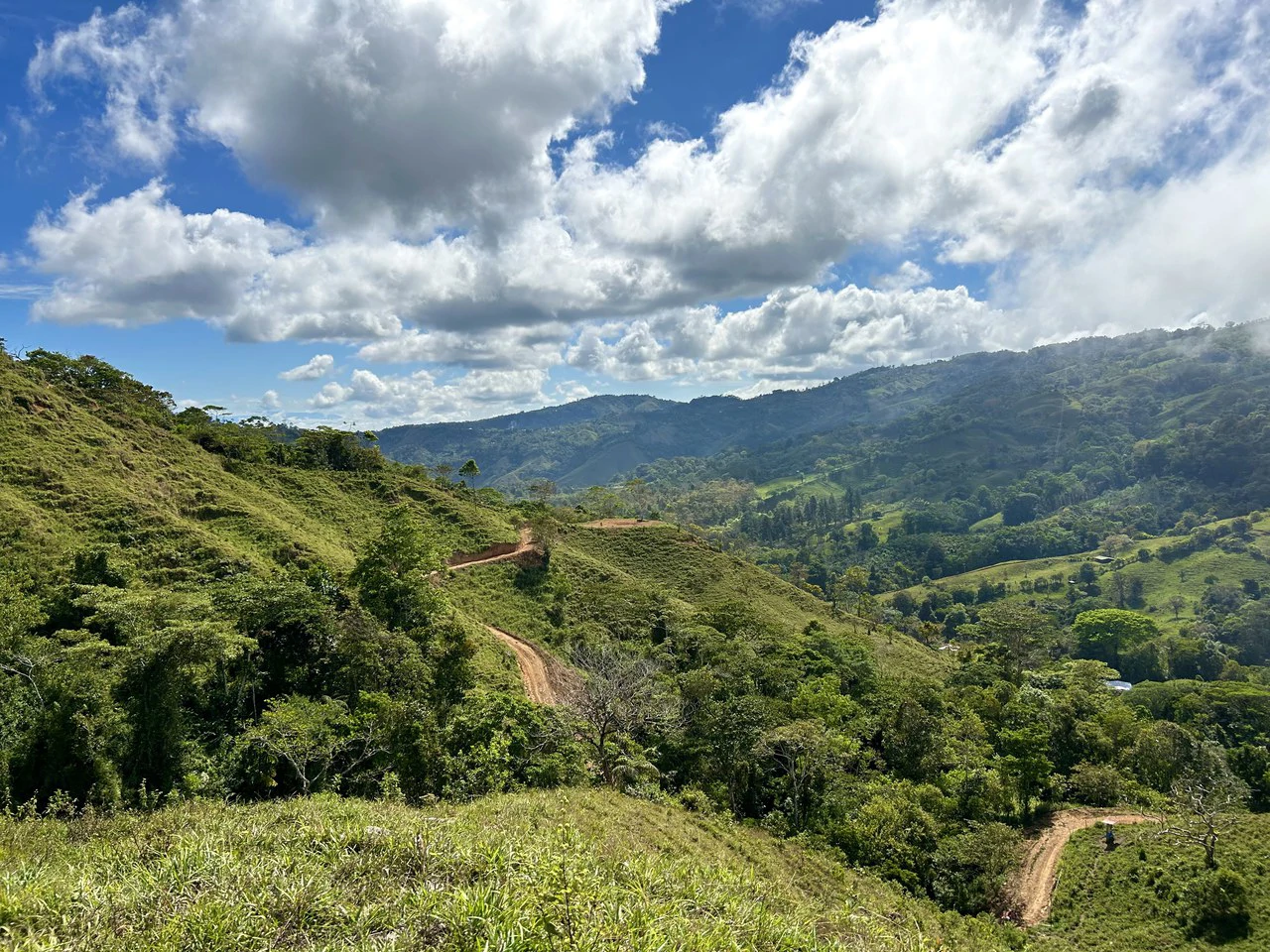 Finca Ceibo Memo: Mountain Home Construction Site For Sale in San Isidro del General - Gallery image 43