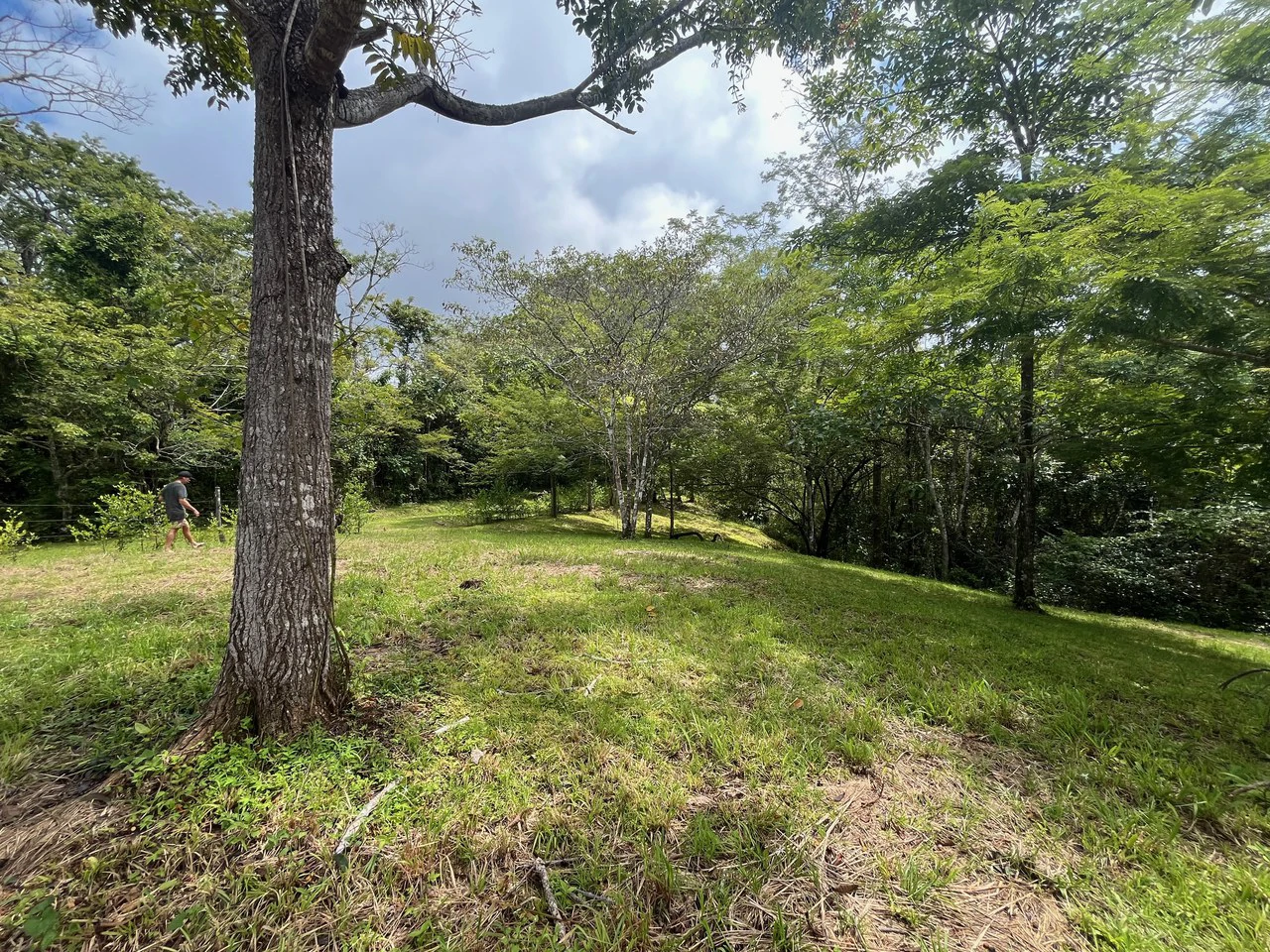 6000m2 Ready to Build Lot in Delicias: Great Price with Project and Permits included - Gallery image 11