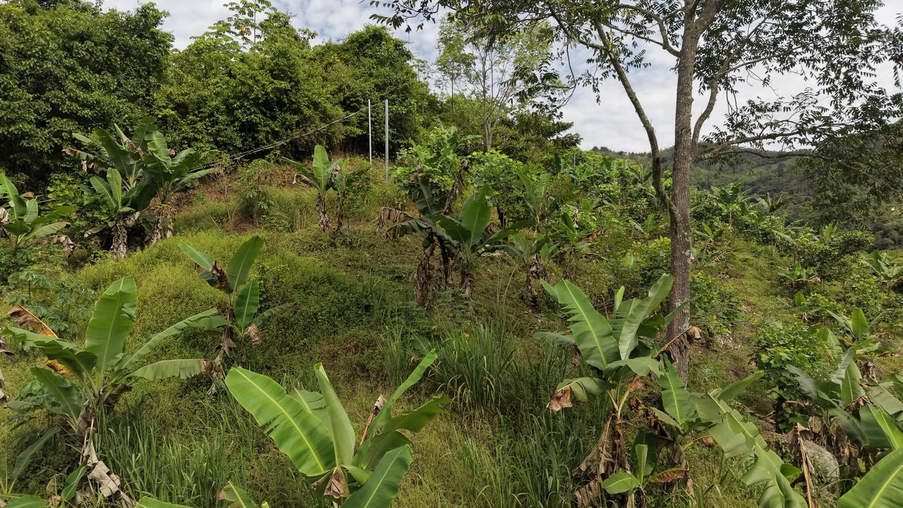 Mountain Home Construction Site For Sale in Chimirol de Rivas - photo 6