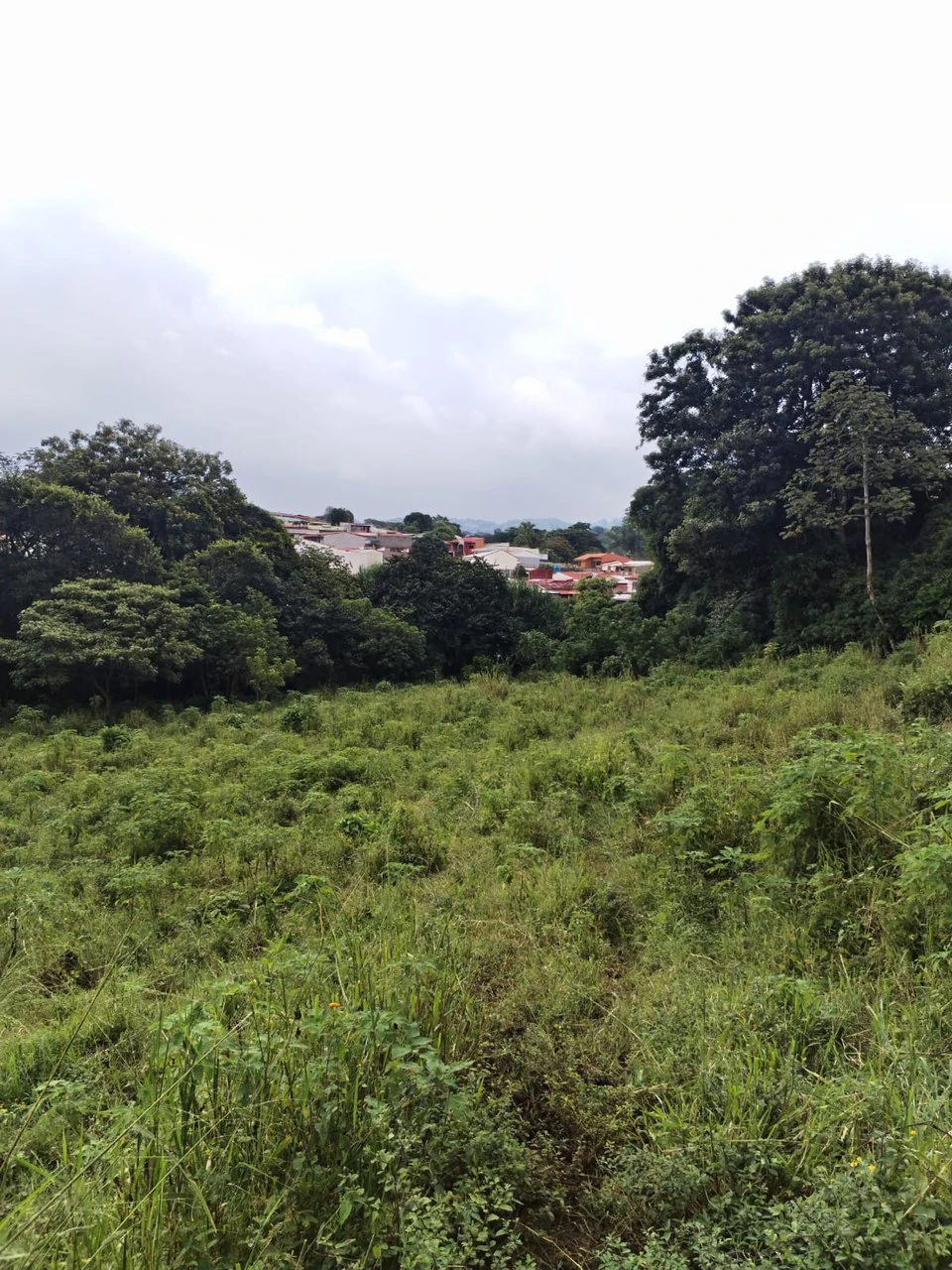 Farm in Desamparados, Alajuela: Ideal for Developers with Permits and Potential for 46 Lots - Gallery image 6