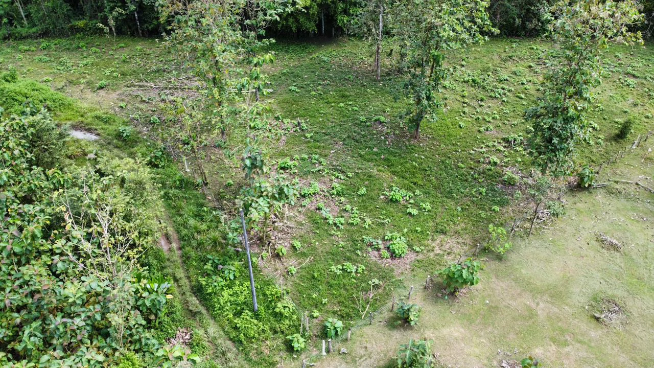 Off the grid property | Located in a privileged area, surrounded by natural beauty: Mountain Home Construction Site For Sale in Damas - Gallery image 16