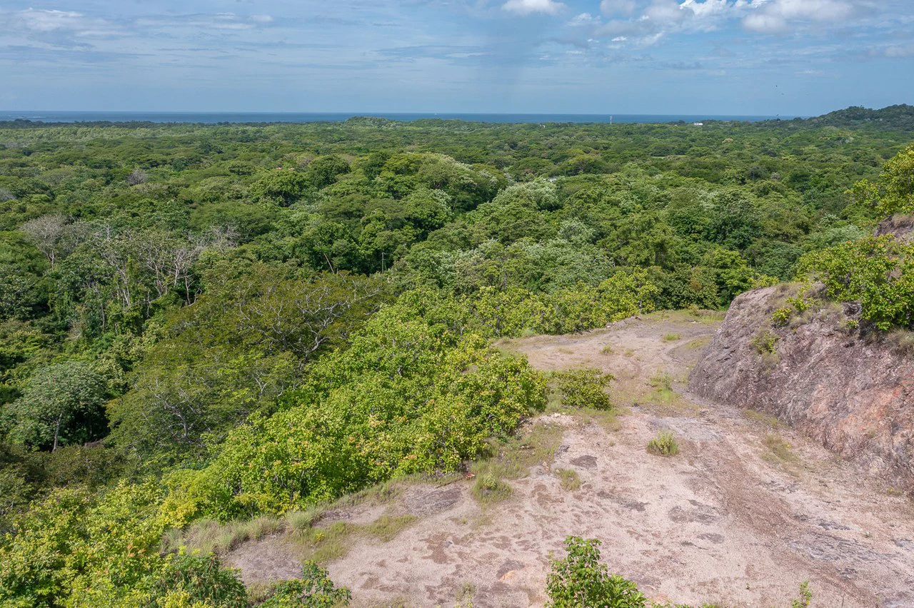 Ocean Views in Playa Grande: 2 Adjacent Ocean View Lots - 1 Great Price! - Gallery image 4