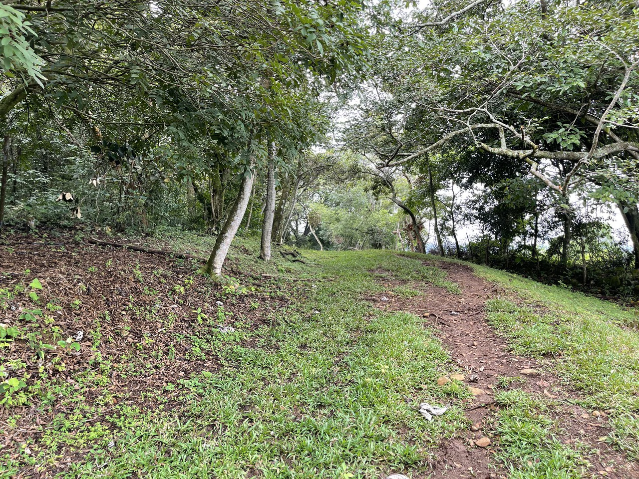 Development land for sale La Garita Alajuela 6.2 hectares - Gallery image 5