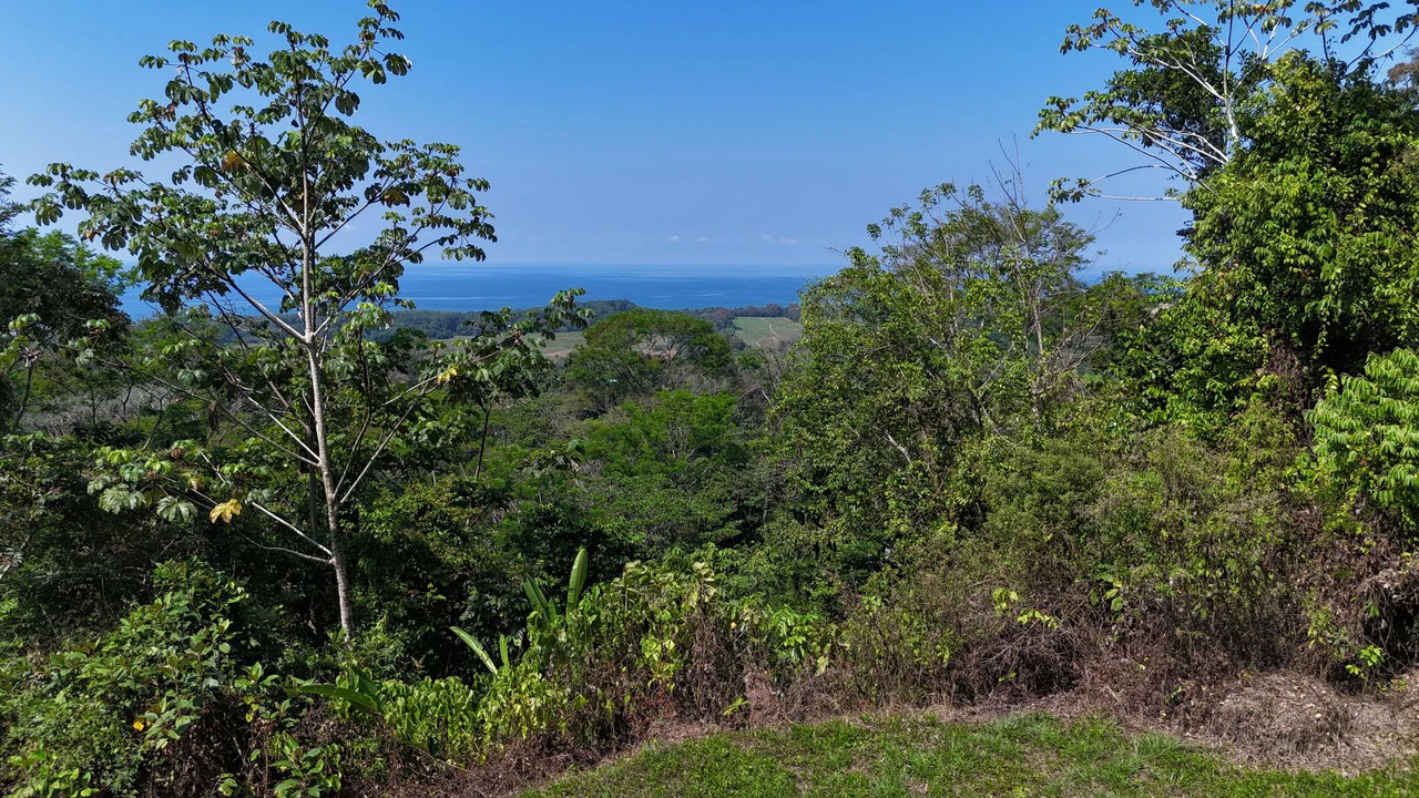 Exceptional Development Opportunity 71 acre Riverfront & Ocean View in Hatillo - Gallery image 12