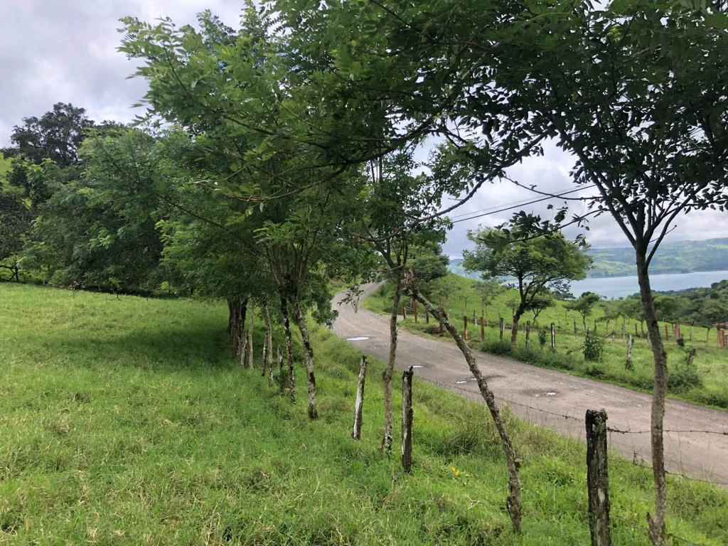 Beautiful property with lake view - Arenal - Gallery image 16