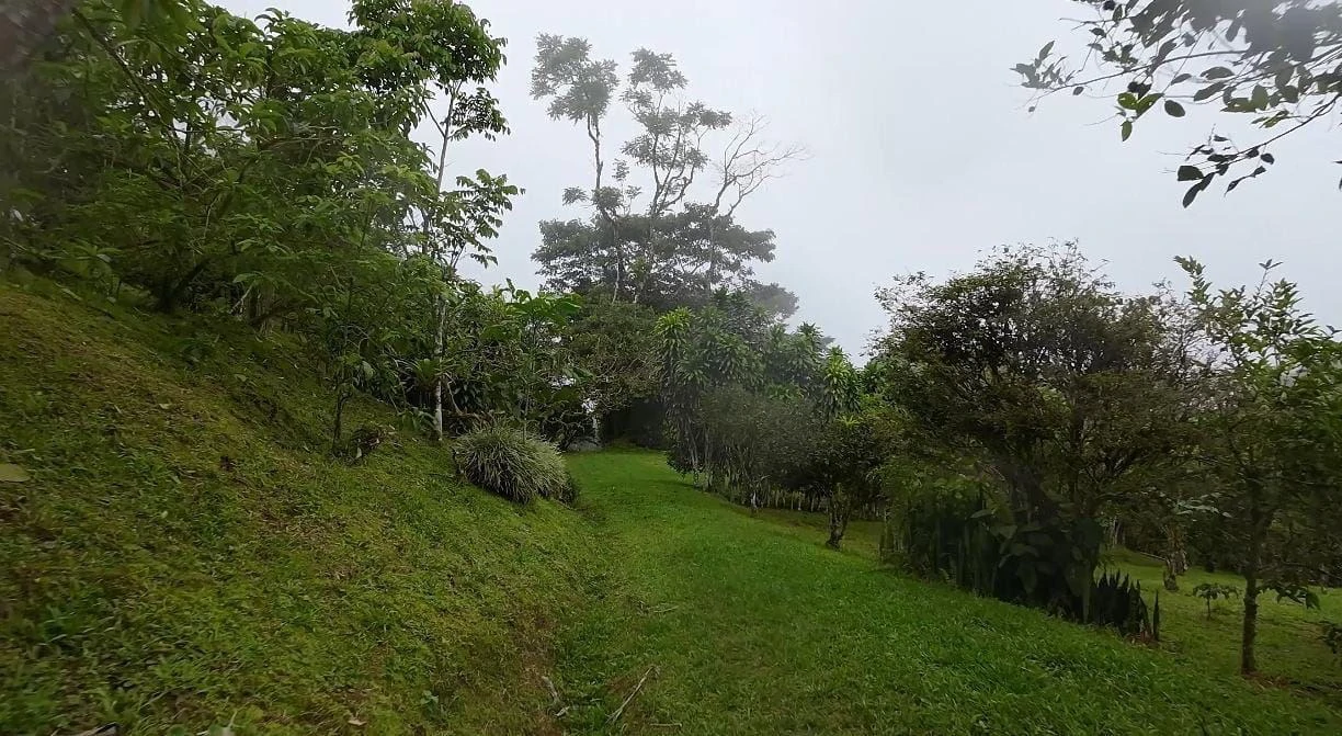 LOTE EN VENTA ALTO SAN JUAN, COSTA RICA: Mountain Home Construction Site For Sale in Barú - Gallery image 9