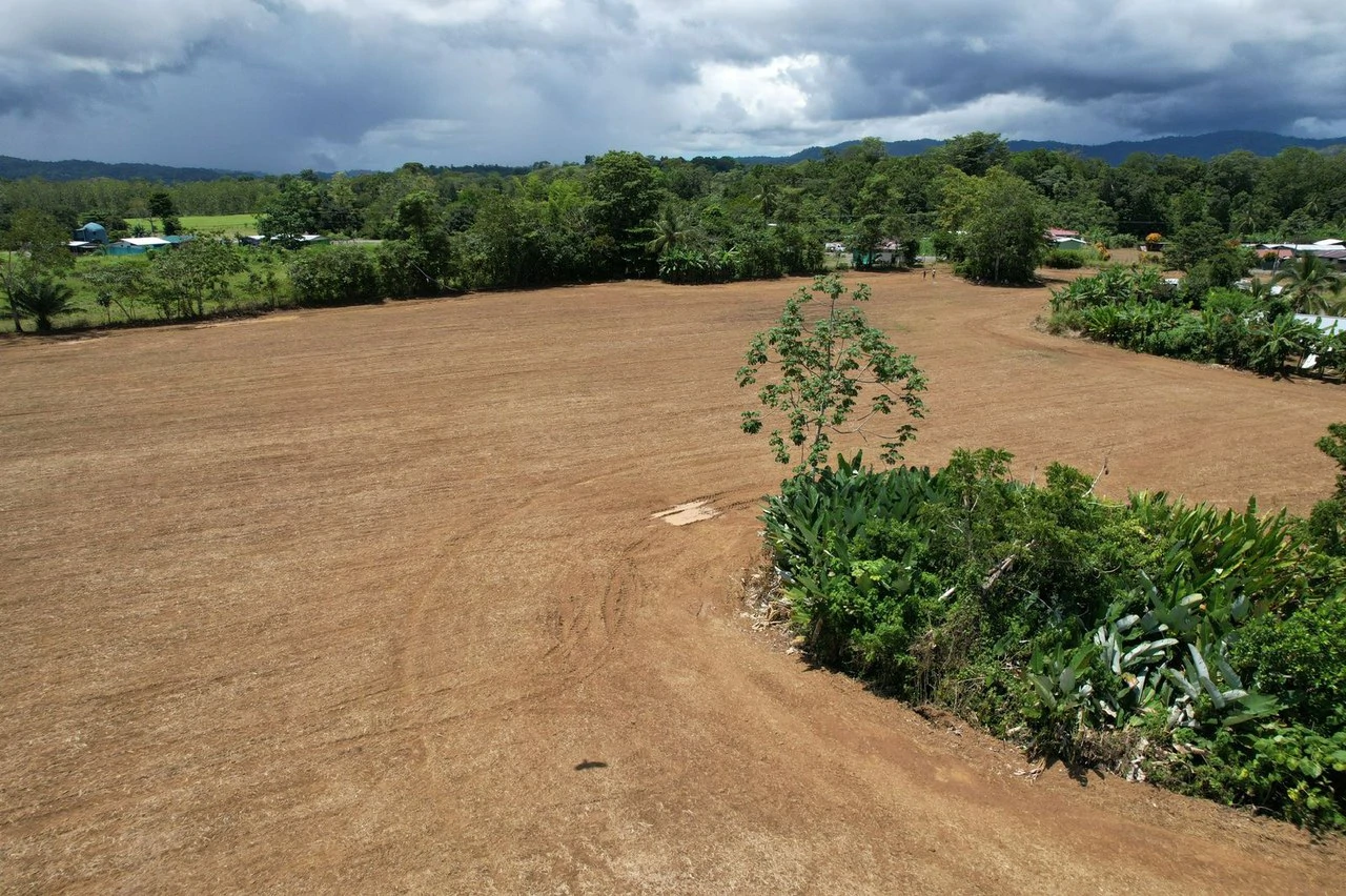 Finca La Palma, Puerto Jimenez: Excellent location ideal for development - Gallery image 5