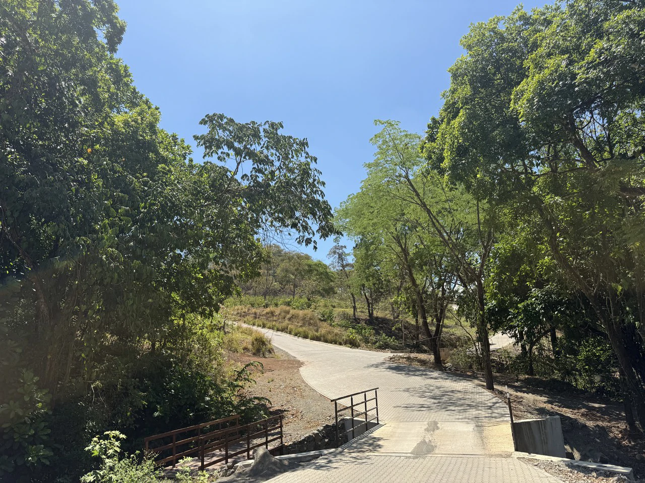 Ecovilla San Mateo: Ecovilla San Mateo – Lot for sale -Nature, Community & Conscious Living - Gallery image 12