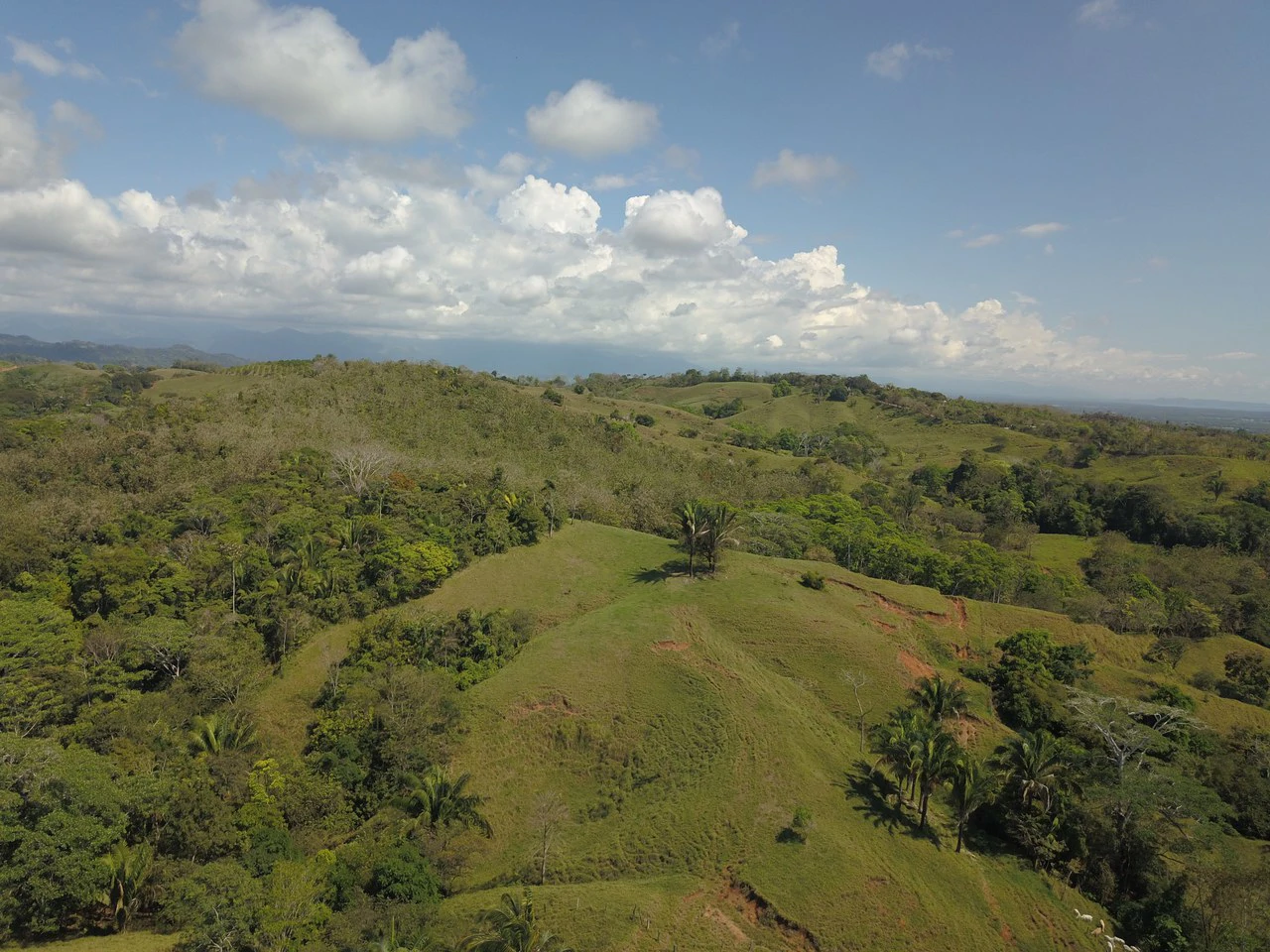 Finca Guapinol de Parrita: Near the Coast, Mountain and Countryside Agricultural Land For Sale in Parrita - Gallery image 6