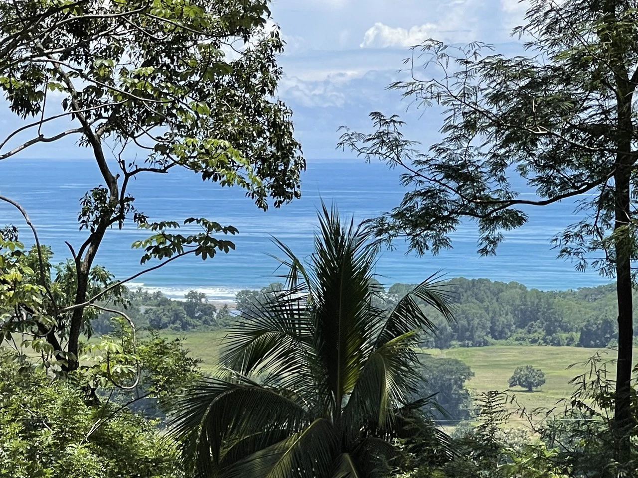 5.4 ACRES – Amazing Ocean View Acreage With Multiple Building Sites And Legal Water!!! - Gallery image 10
