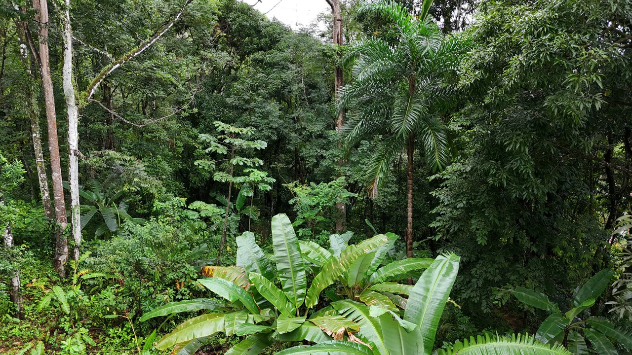 Tropical Paradise with Breathtaking Diamate Waterfall Views - Gallery image 15