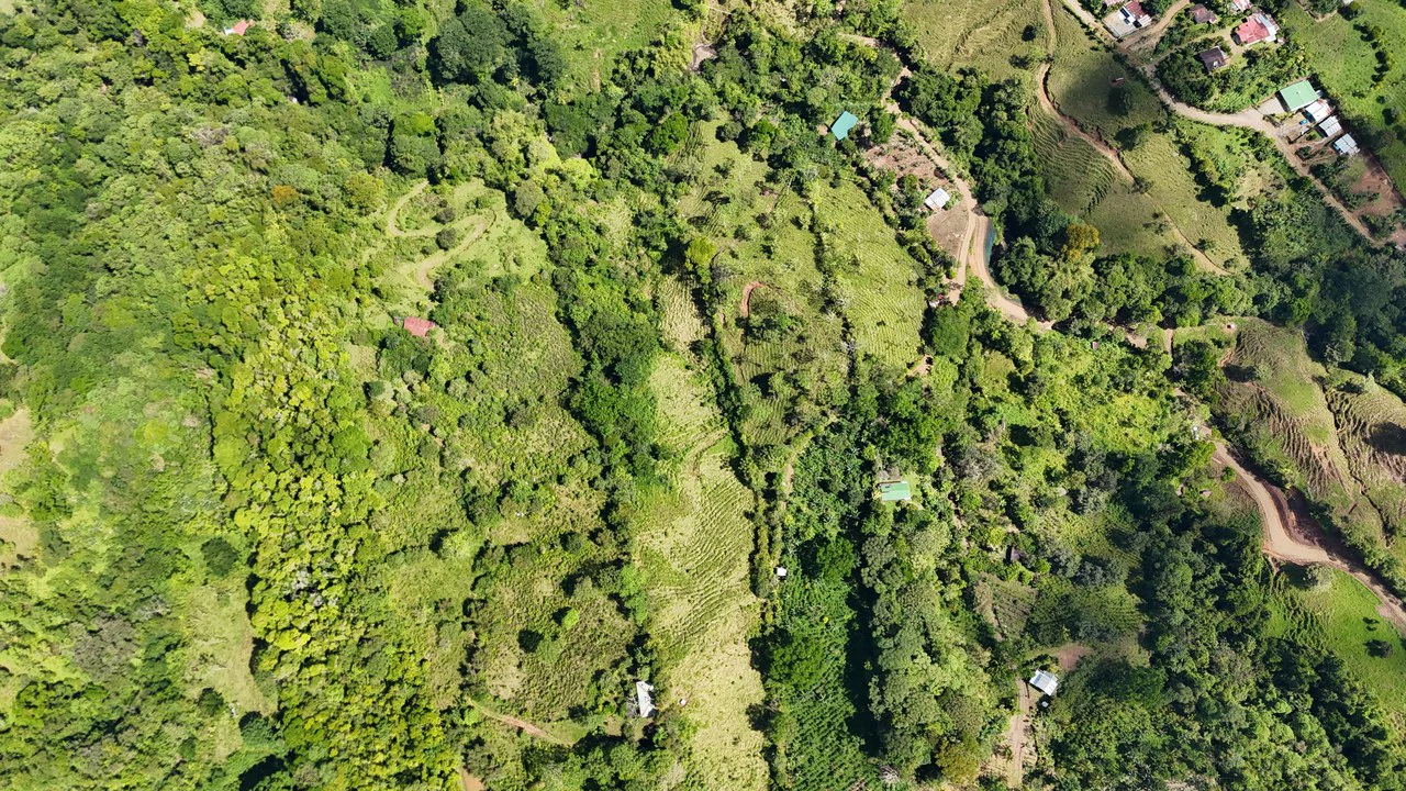 FINCA EN MIRAFLORES: Mountain Agricultural Land For Sale in El General - Gallery image 10