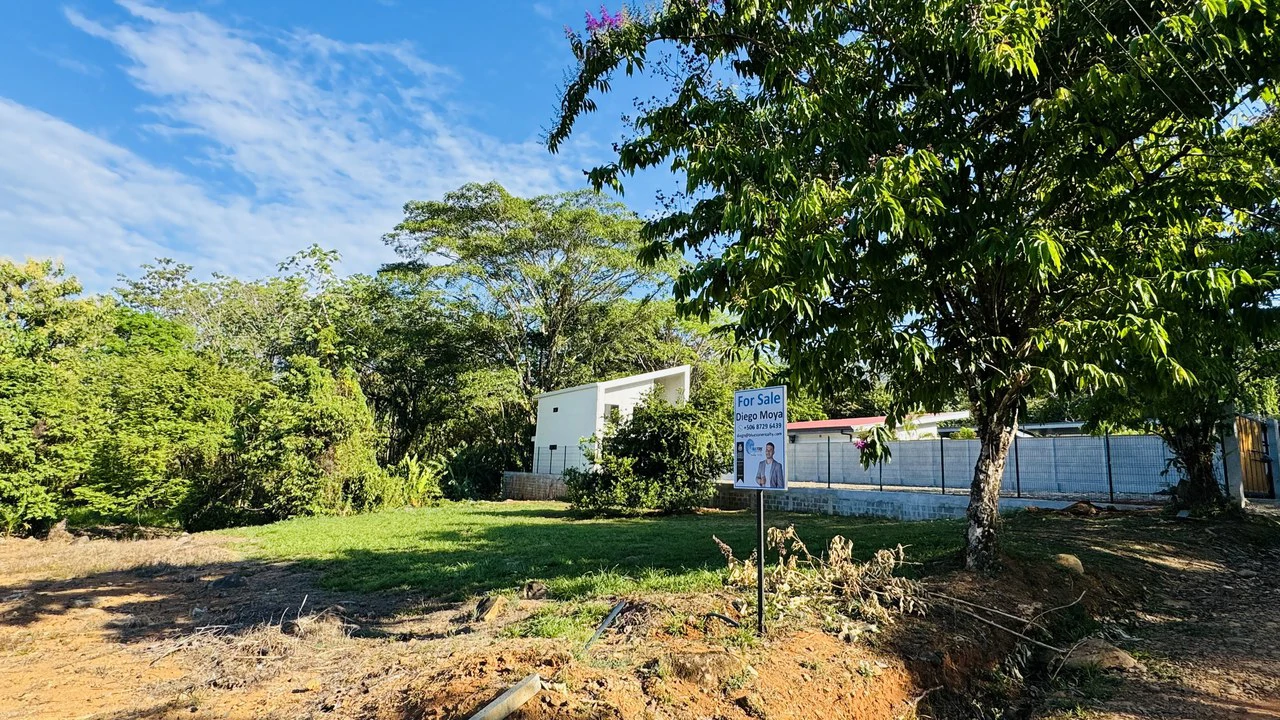 ZONED RESIDENTIAL / COMMERCIAL LOT IN COVETED LOCATION!! - Gallery image 5
