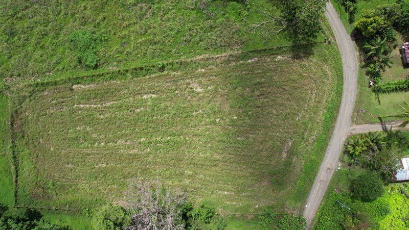 Land For Sale with Excellent Location in La Amapola, Puerto Jimenez - Gallery image 11