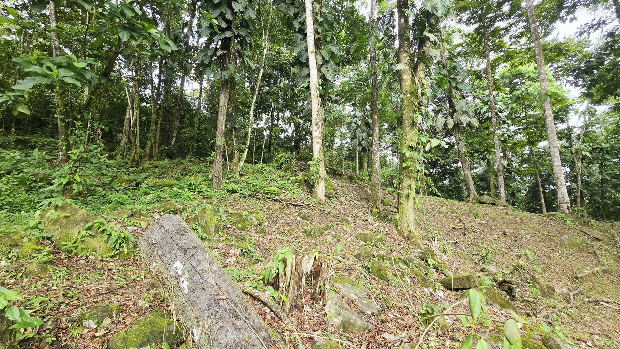 Near the Coast Home Construction Site For Sale in Uvita - photo 13