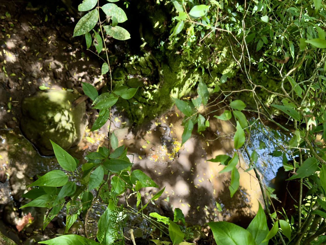 Lot for sale in San Rafael de Heredia - Gallery image 10