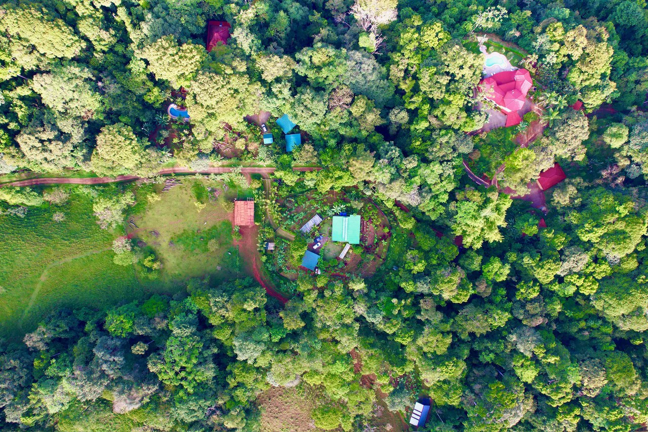 Sustainable Living Farm to Table with Home, Guest House ,Tinamastes on the River - Gallery image 2