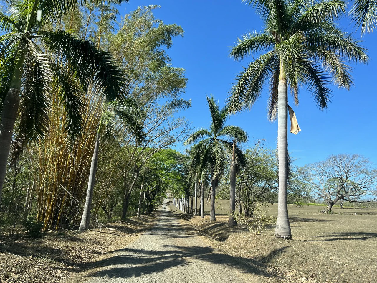 Ocean view lots in gated community with views on Golf of Papagayo - Gallery image 8