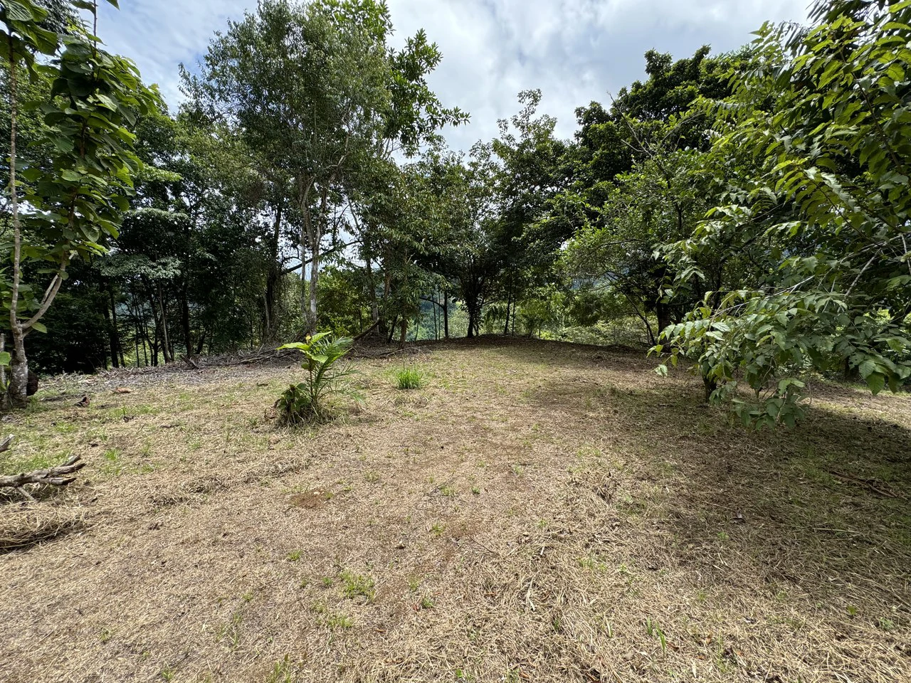 Diamante Waterfall View Land in Dominical 2.9 Acres - Gallery image 31