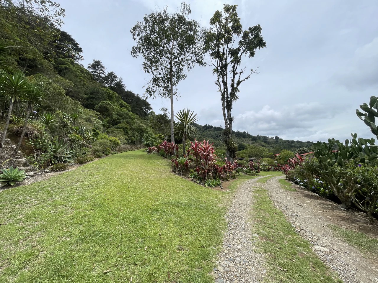 Cartago, gourmet coffee plantation: Charming Coffee Retreat Home with Stunning Views and Gourmet Coffee Plantations - Gallery image 32