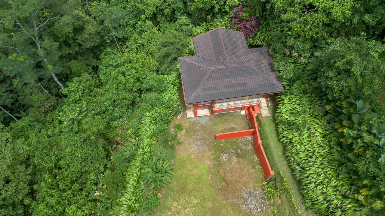 Build-Ready Ocean View Land with Guest House & Fruit Orchard | Tres Rios, Costa Rica - Gallery image 7